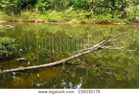 Lake In Eungella National Park In Queensland, Australia.