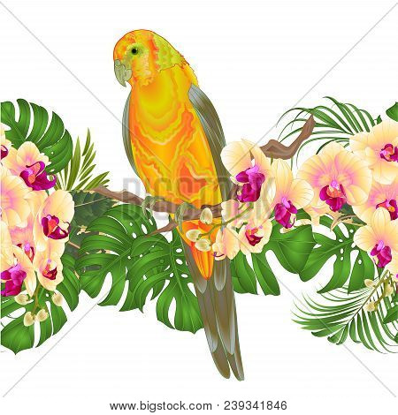 Floral Border Seamless Background And Sun Conure Parrot Standing On A Yellow Orchid  Phalaenopsis An