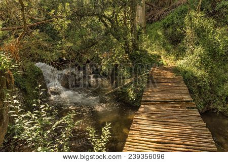 A Pedestrian Bridge Over A Stream On The Yellowwood Forest Hiking Trail At Injisuthi In The Kwazulu-