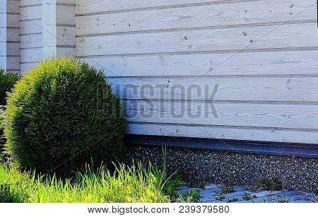 House Of Laminated Veneer Lumber With A Green Bush