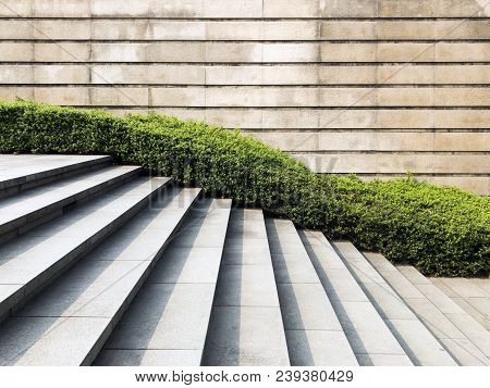 Public Stair And Climbing Landscaping In Urban Fabric
