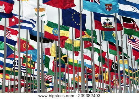 Bunch Of Flags On The International Exhibition