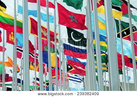 Bunch Of Flags On The International Exhibition. National Flag Of Russian Federation