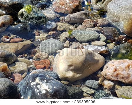 Stones At The Beach Of Fehmarn Schleswig Holstein Northern Germany