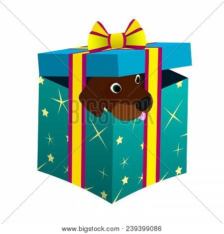 Puppy Peeking Out Of Colorful Gift Box.