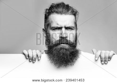 Handsome Bearded Man With Long Lush Beard And Moustache On Thougtful Face With White Paper Sheet In 