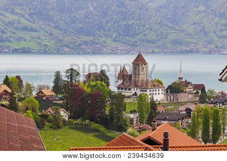 Spiez Castle In Bern Switzerland Near Lake Thun And Mountain