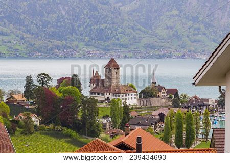 Spiez Castle In Bern Switzerland Near Lake Thun And Mountain
