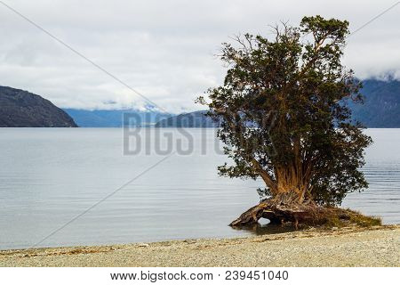 A Lake In Park In Lago Puelo Near Bariloche - Argentina