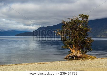 A Lake In Park In Lago Puelo Near Bariloche - Argentina