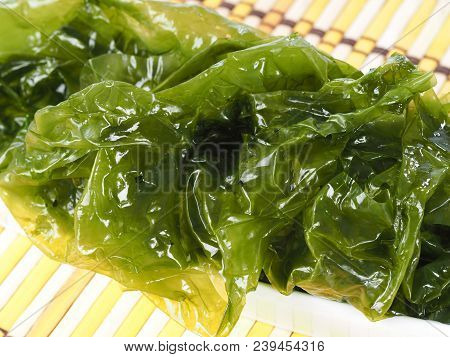 Sea Lettuce - Lechuga De Mar

Edible Green Algae In The Family Ulvacceae. Binomial Name: Ulva Lactut