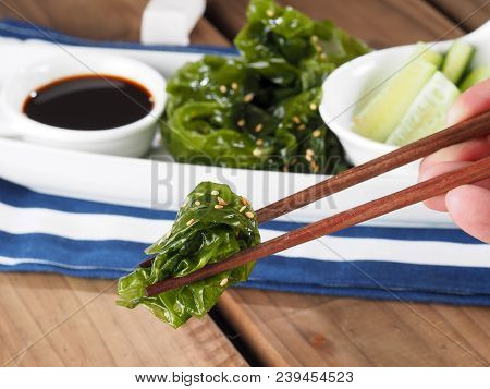 Sea Lettuce Salad - Ensalada De Lechuga De Mar

Edible Green Algae In The Family Ulvacceae. Binomial