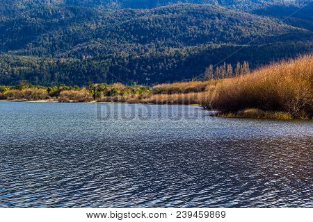 A Lake In Park In Lago Puelo Near Bariloche - Argentina