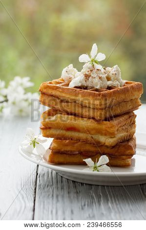 On Saucer In Spring Composition On Wooden Background.spring Still Life With Cherry Blossoms