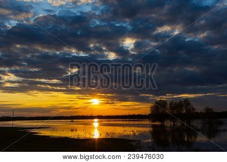 Sunset On The River With Three Trees On Desna River In Spring, Ukraine.