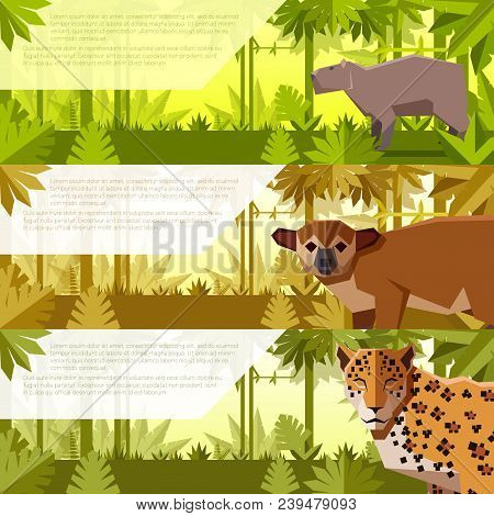 Vector Image Of The Set Of Banners With South America Animals Capybara, Kinkajou And Jaguar