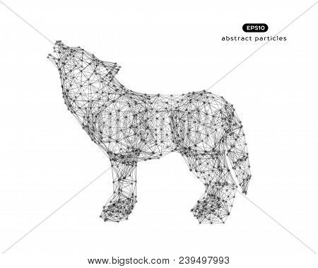 Vector Abstract Illustration Of Wolf.
