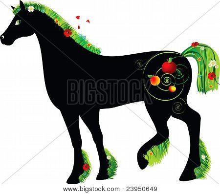 hest-sommer