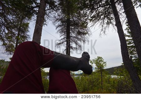 Piknik