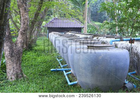 Rows Of Water Tanks As A Water Reserve For The Future Use At A Time Of Drough Or Prolonged Period Of