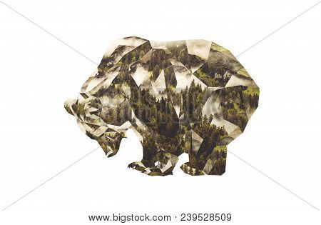 Brown Bear And Coniferous Forest. Low Poly Photocollage.