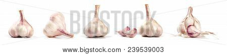Collection Of Fresh Garlic Isolated On White Background. Set Of Multiple Images. Part Of Series
