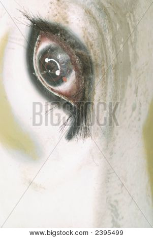 Bulls Eye