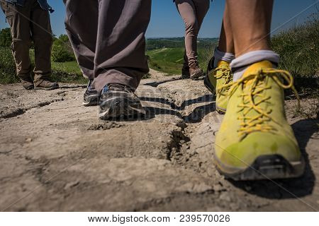 Asciano, Tuscany, Italy - Trekking, Unknown People Walking Along The Famous White Roads