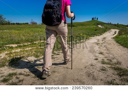 Asciano, Tuscany, Italy - Trekking, Unknown People Walking Along The Famous White Roads