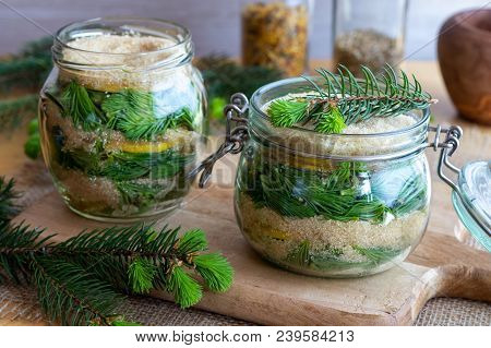 Two Jars Filled With Young Spruce Tips, Lemon And Cane Sugar, To Prepare Homemade Syrup Against Coug