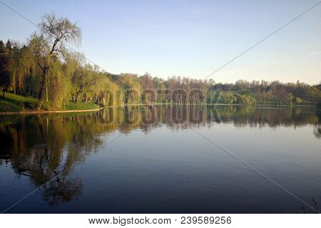 Trees Reflection In The Water. Beautiful Sunny Spring Evening.