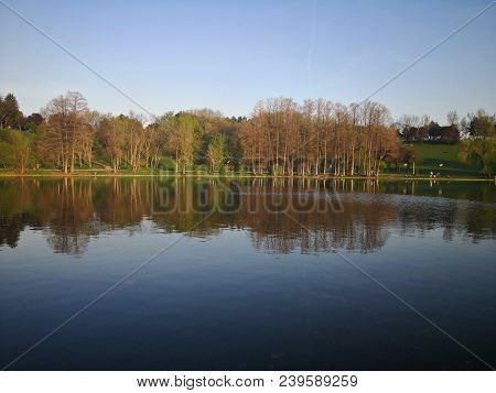 Trees Reflection In The Water. Beautiful Sunny Spring Evening.