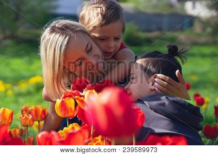 Happy Family In The Red And Yellow Tulips Field