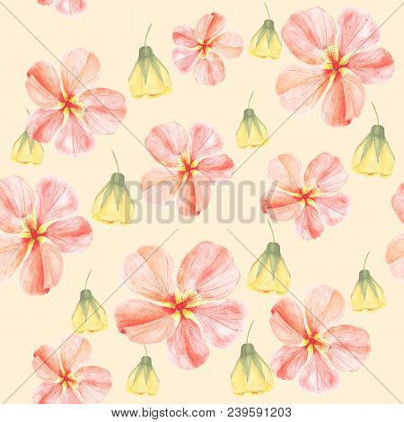 Handpainted Watercolor Seamless Pattern With Yellow And Red Mallow Flowers Abutilon On Light Backgro