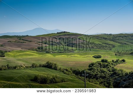 Asciano, Tuscany, Italy - Landscape With Yellow Flowers In The Crete Senesi