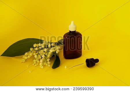 Lily Of The Valley, Essential Oil Convallaria Majalis (extract, Tincture, Remedy) With Fresh Flowers