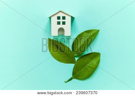 Miniature Toy Model House With Green Leaves On Blue Pastel Colourful Trendy Backgdrop. Eco Village, 
