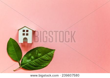 Miniature Toy Model House With Green Leaves On Pink Pastel Colourful Trendy Backgdrop. Eco Village, 