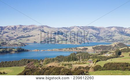 Landscape View Of The Rolling Hills And Harbour Of Akaroa, Banks Peninsular, New Zealand.