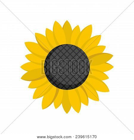 Sunflower Seed Icon. Flat Illustration Of Sunflower Seed Vector Icon For Web