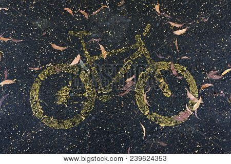 Old Yellow Bicycle Lane Sign On The Road Covered With Dry Leaves