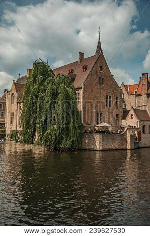 Leafy Tree With Old Brick Buildings On The Canal Edge In A Sunny Day At Bruges. With Many Canals And