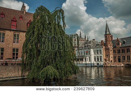 Leafy Tree With Old Brick Buildings On The Canal Edge In A Sunny Day At Bruges. With Many Canals And