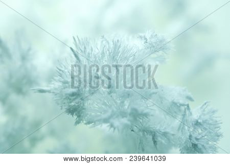 White chemical crystals forming. needle like Urea crystals (carbamide) forming by evaporation of water.