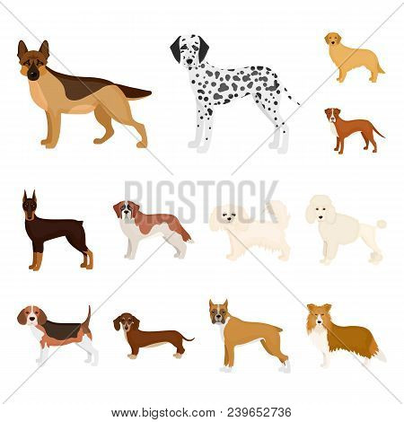 Dog Breeds Cartoon Icons In Set Collection For Design.dog Pet Vector Symbol Stock  Illustration.