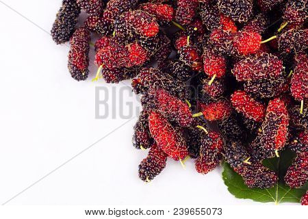 Ripe Mulberry (morus)  Is Black And Red On White Background Healthy Mulberry Fruit Food Isolated