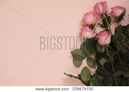Stunning Pink Bouquet Of Roses On Punchy Pink Background. Copy Space, Floral Frame. Wedding, Gift Ca