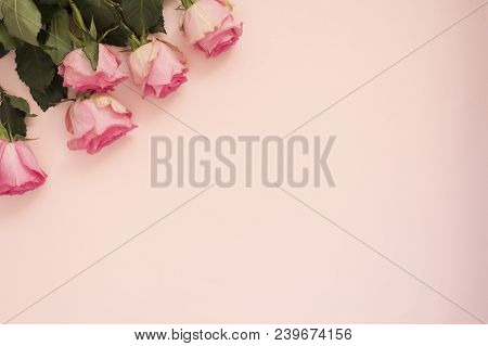 Stunning Pink Bouquet Of Roses On Punchy Pink Background. Copy Space, Floral Frame. Wedding, Gift Ca