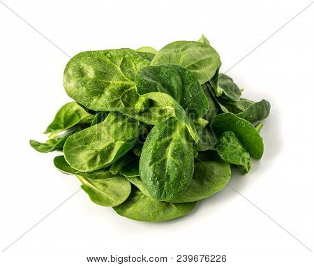 Fresh Spinach Leaves