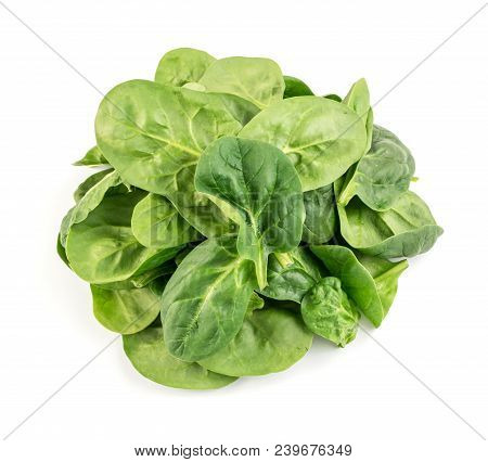 Fresh Spinach Leaves